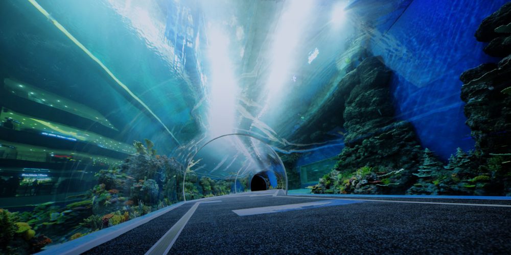 Acrylics merombak Oceanariums: Inovasi Tech-ECO di dalam laut China
