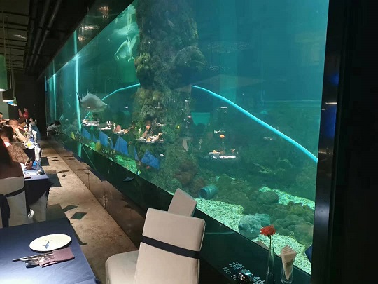 Kerajinan Artistry Aquatic: Panorama tangki ikan akrilik yang mendalam untuk restoran bertema